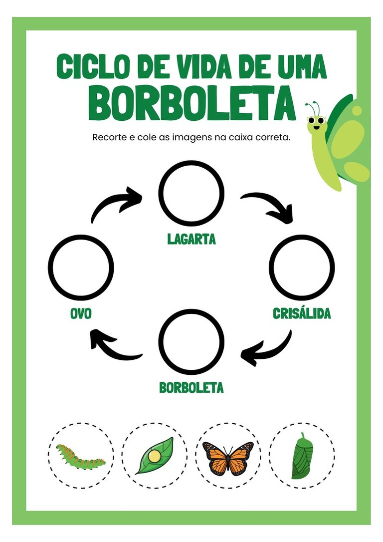Ciclo de vida da borboleta