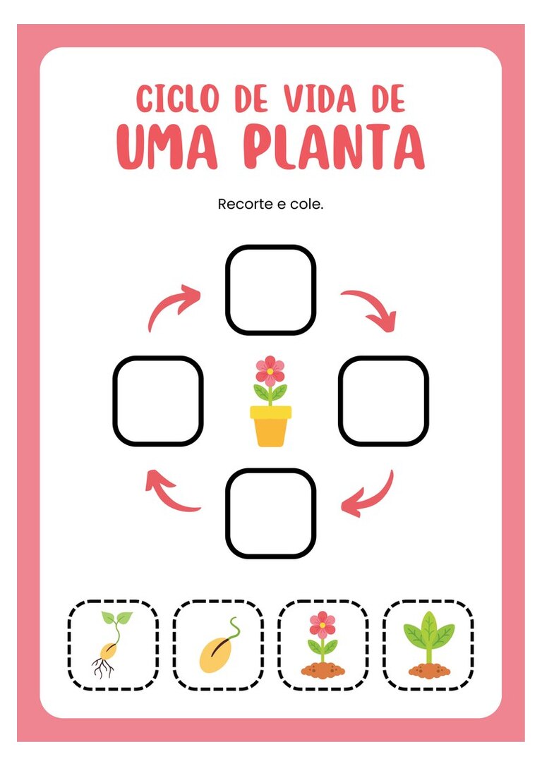 Ciclo de vida da planta