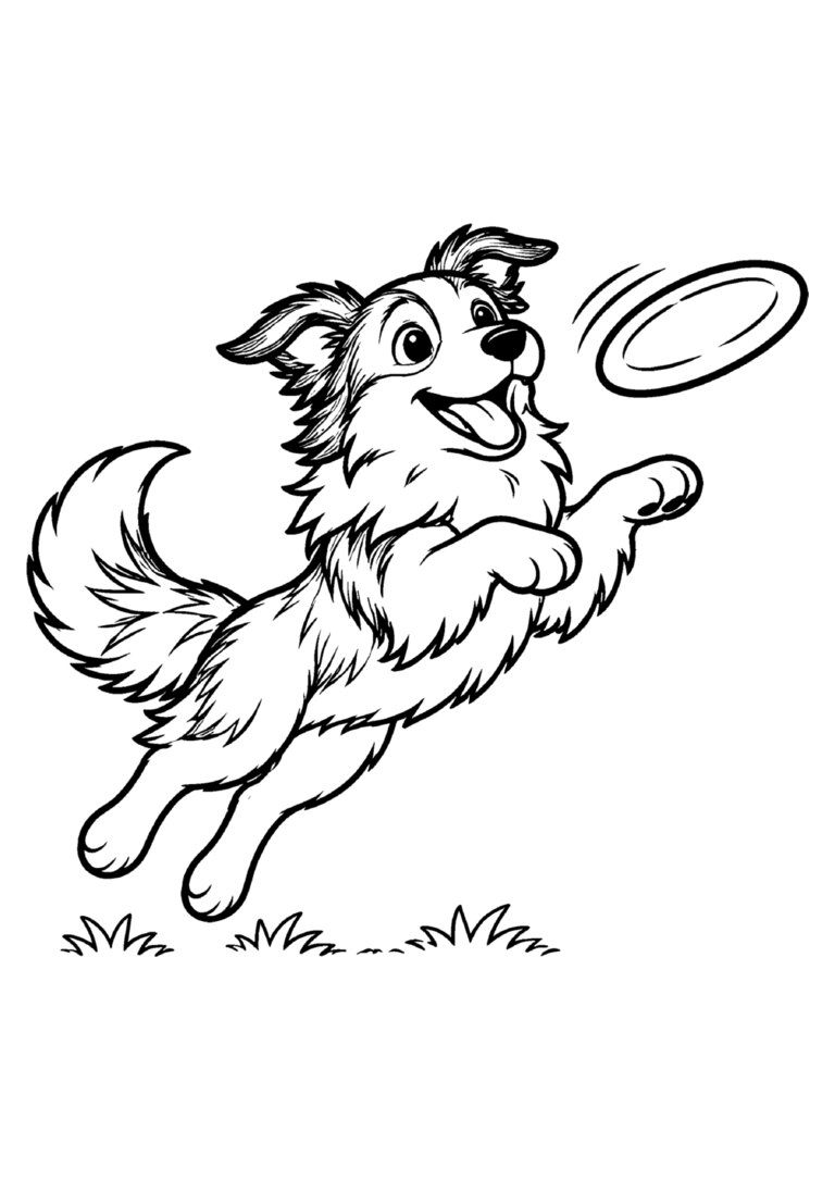 Border collie pulando para pegar o disco