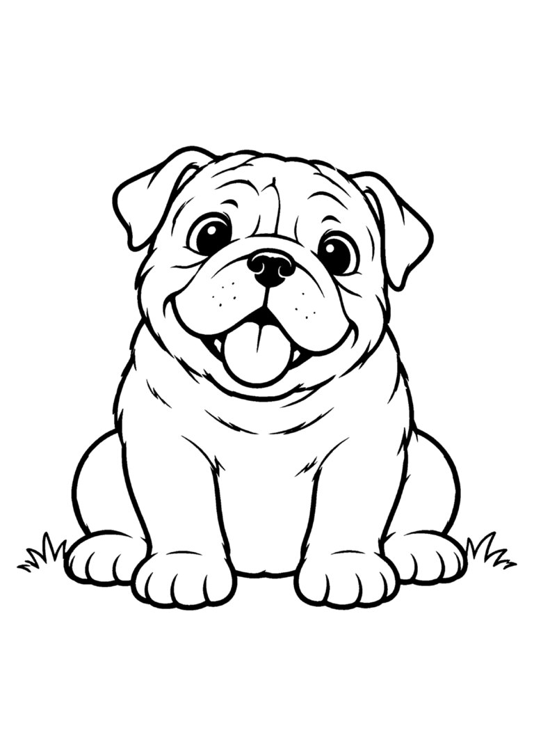 Buldogue inglês sentado