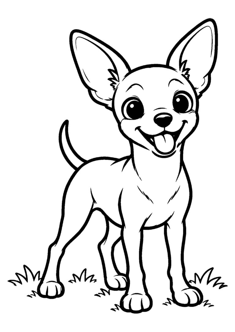Pinscher em pé, de orelhas grandes