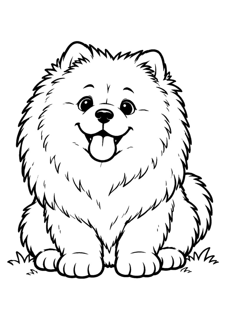 Chow chow sentado, com juba de pelo