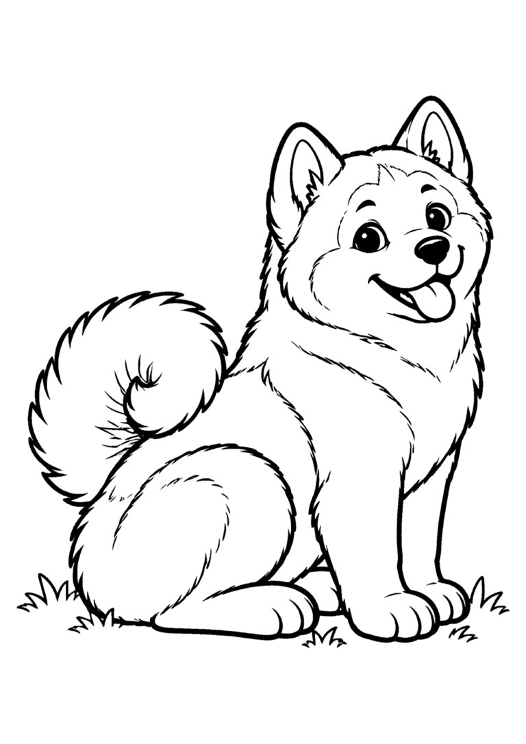 Akita sentado de rabo enrolado