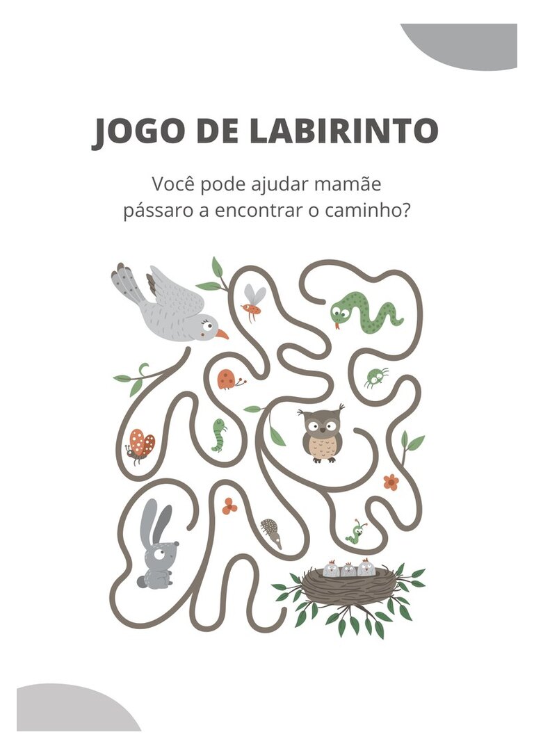 Labirinto da mamãe pássaro